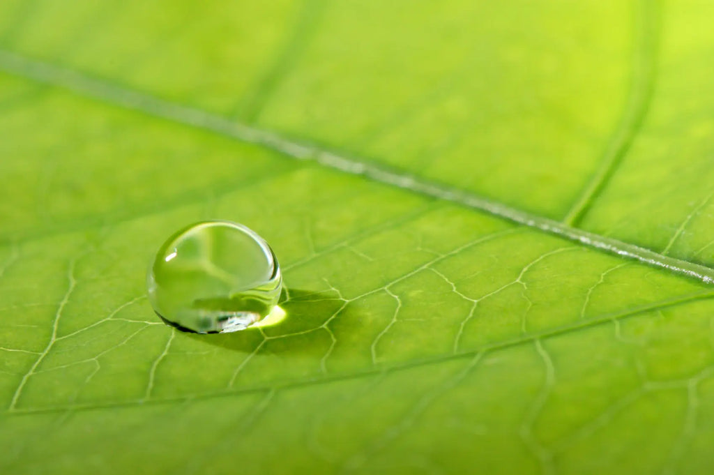 Hotel Mending Kits - Hotel Supplies Canada