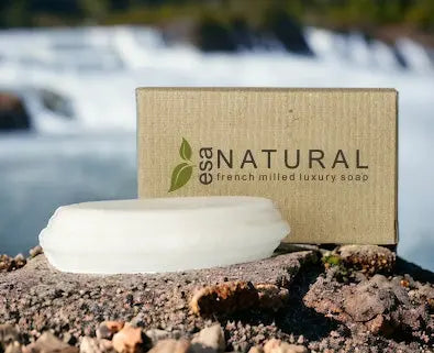 Hospitality and the environment